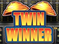 twin winner gokkast